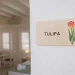 Anthos Aparthotel 4*
