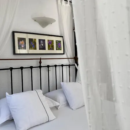 Aparthotel Anthos Naousa (Paros)