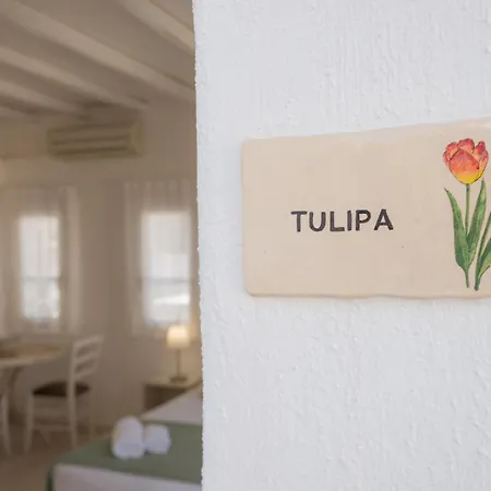 Anthos Hotel apartamentowy 4*