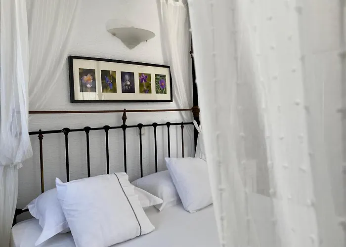 Aparthotel Anthos Nausa