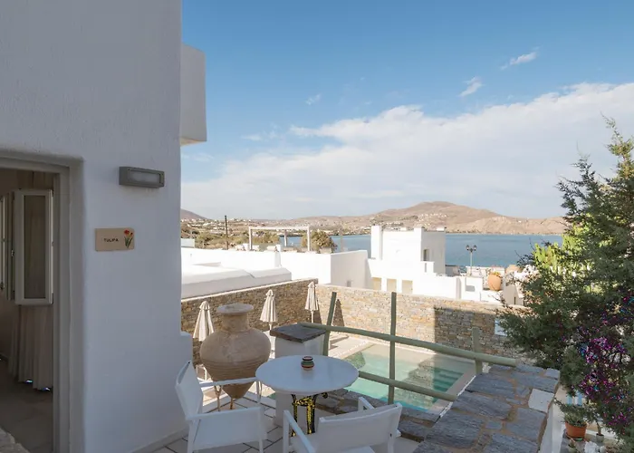 Aparthotel Anthos Nausa