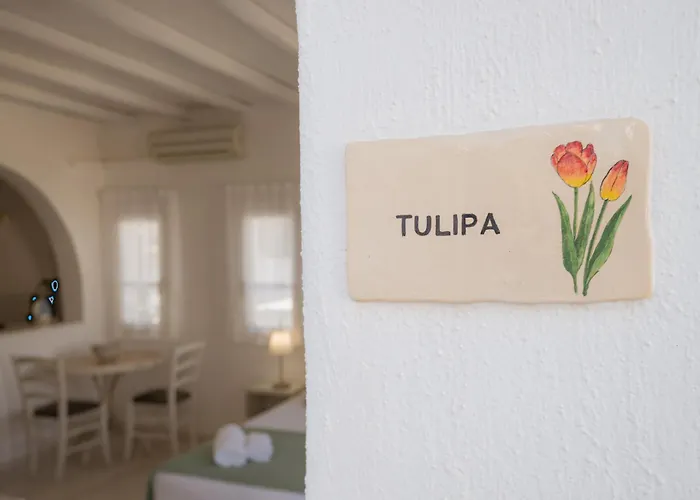 Anthos Apart Otel 4*